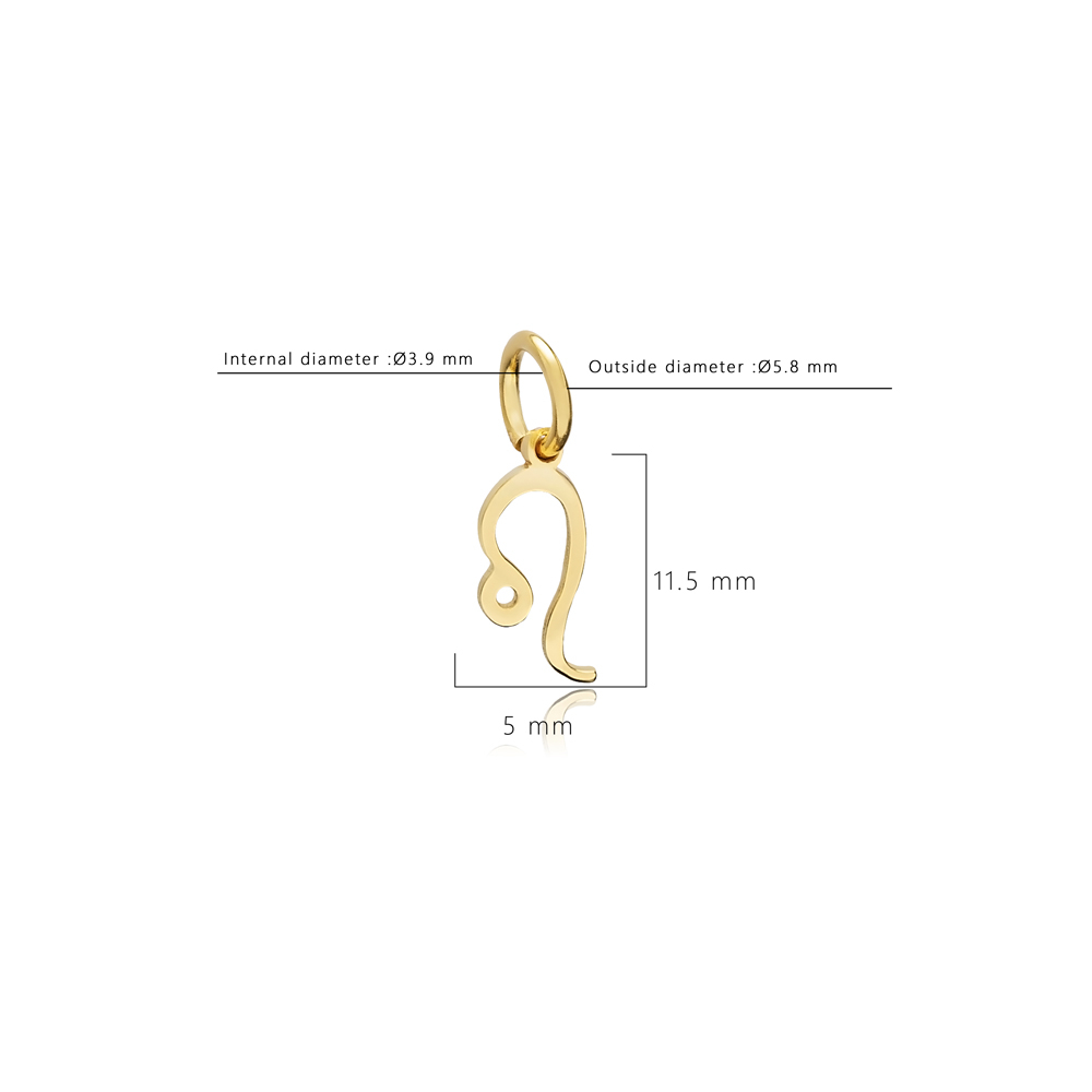 Leo Zodiac Sign Plain Horoscope Silver Charm