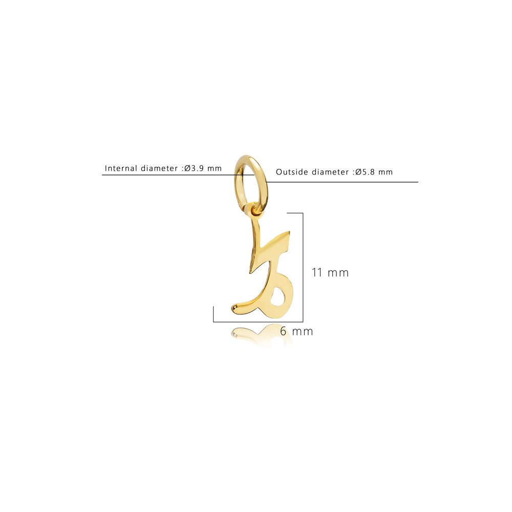 Capricorn Zodiac Sign Plain Horoscope Silver Charm