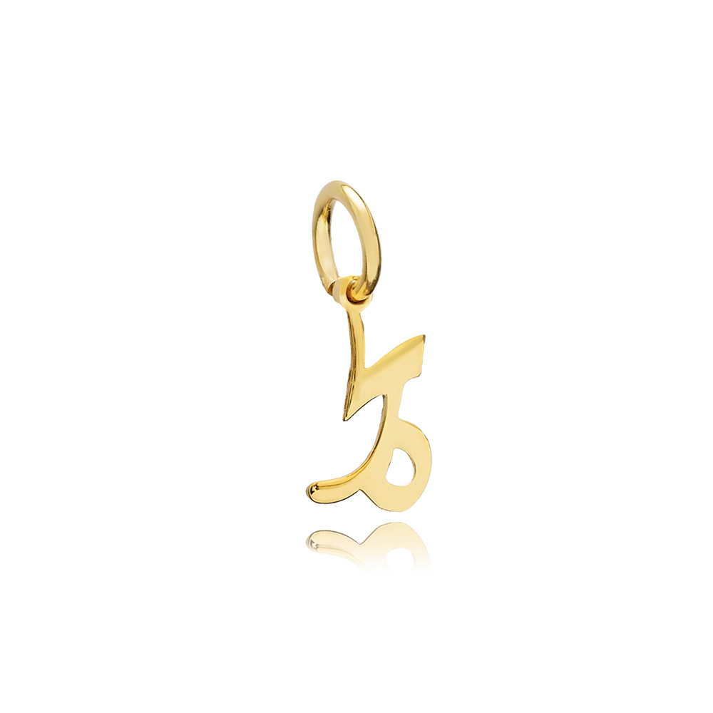 Capricorn Zodiac Sign Plain Horoscope Silver Charm